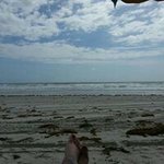 Profile Picture of Susan Larsen (@susan.larsen.771) on Instagram