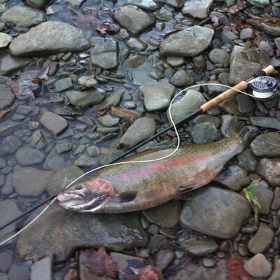 Profile Picture of James E. Buch (@Troutbrown88) on Twitter