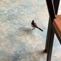 Profile Picture of Rashmi Pillai (@rashmi-pillai) on Quora