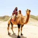 Profile Picture of D小调🎶 (@wu.xiaodan) on Instagram