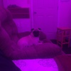 Profile Picture of user5809857242403 (@@jamesharbin6) on Tiktok