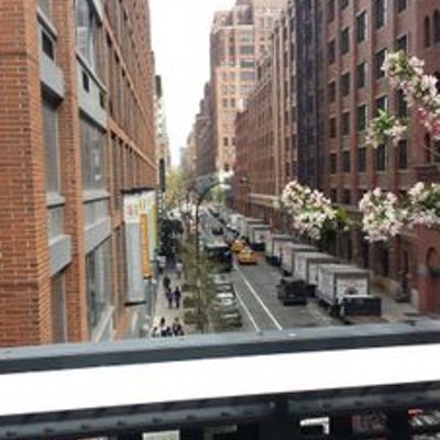 Profile Picture of SuzanneL (@suzanne_latimer) on Twitter