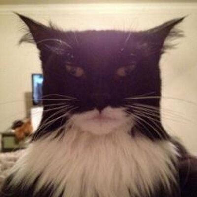 Profile Picture of Stephen Dobyns (@Ju1cewe4sel) on Twitter