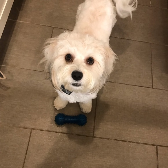 Profile Picture of Stephen Kenny (@chipbutty69) on Poshmark