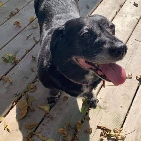 Daniele Hennager - Poshmark Profile Picture of Daniele Hennager (@dhennager) on Poshmark