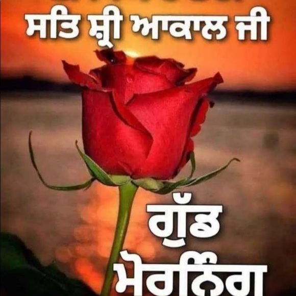 Profile Picture of Satinder Kaur (@satinder24) on Poshmark