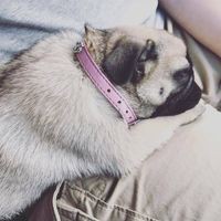 Profile Picture of Amy Miu (@amy-miu-1) on Quora