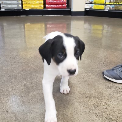 Profile Picture of Josie Palmer (@JosiePa99328346) on Twitter