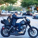Profile Picture of Jason Simons (@jasonandindy) on Instagram
