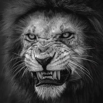 Profile Picture of Edwin Barrientos (@EdwinBa28526389) on Twitter