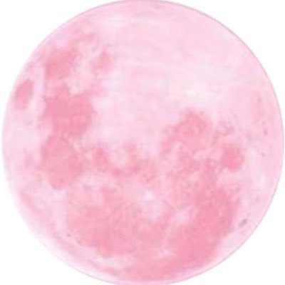 Profile Picture of Max Meng (@maxmeng14) on Twitter