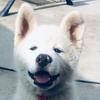 Profile Picture of Michal_Bigos (@michal_bigos) on Tiktok