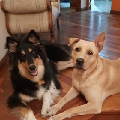 Profile Picture of Martin Guillermo Quijano Vélez (@MartinGQuijanoV) on Twitter