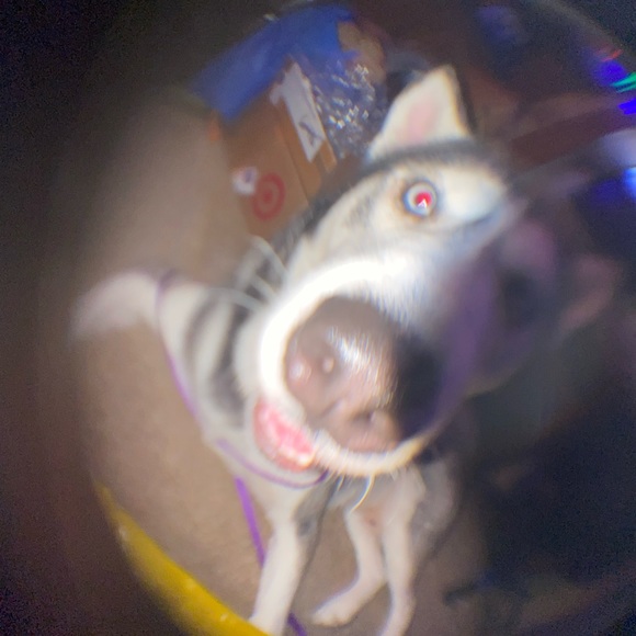 Profile Picture of Sydney Matye (@sydneymatye) on Poshmark