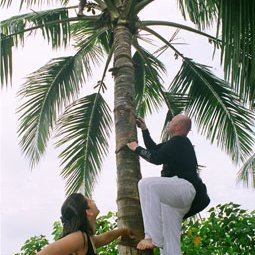 Profile Picture of Janet Thomas (@keralaholiday1) on Twitter