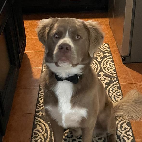 Profile Picture of Tamra Mims Barron (@gus_thelonghairedpit) on Tiktok