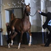 Profile Picture of Tami Stark (@tamistark2384) on Youtube