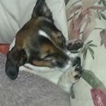 Profile Picture of tony mctaggart (@mctaggarttony) on Instagram