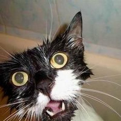 Profile Picture of Michael Fedorov (@mic10103) on Twitter