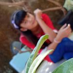 Elsa Reyna Cleopatra - Instagram Profile Picture of Elsa Reyna Cleopatra (@elsareynacleopatra) on Instagram