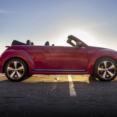 Profile Picture of Shelley Marie Ludwig (@ludwig_shelley) on Twitter