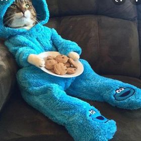 Profile Picture of Miguel Gonzalez (@miguelsepulveda481) on Pinterest