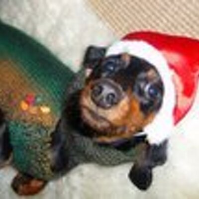 Profile Picture of Simon Cornelius (@AFurrySausage) on Twitter