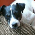 Profile Picture of Jana Pachtová (@janka.paul) on Instagram