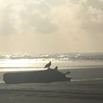 Profile Picture of Dustin Mcbroom (@dustin.mcbroom.399) on Instagram