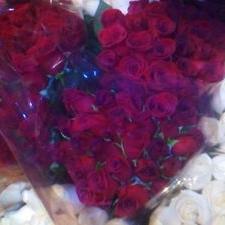 Profile Picture of Misael Ayala (@misaelayala2366) on Twitter