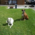 David Pickersgill - Instagram Profile Picture of David Pickersgill (@pickersgilldavid) on Instagram