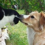 Profile Picture of Jacqueline Mitschke (@jacquelinemitschke) on Instagram