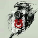 Profile Picture of Tim Krull (@aslanarkanayaslan1) on Instagram