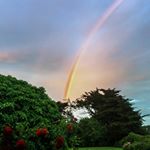 Profile Picture of Thomas Aubin (@tomagnetik) on Instagram