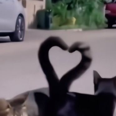 Profile Picture of Richard Chaney (@heldher) on Tiktok