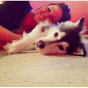 Profile Picture of Beverly Hicks (@beverlylanning3205) on Youtube