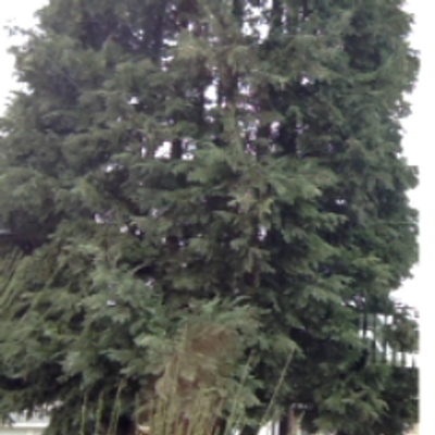 Profile Picture of Andrew Bremner (@AndrewWBremner) on Twitter