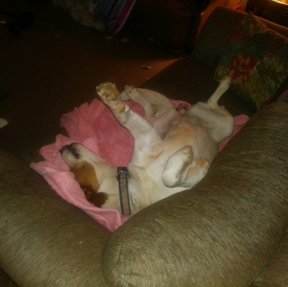 Profile Picture of Shannon Sudduth (@carshann) on Poshmark