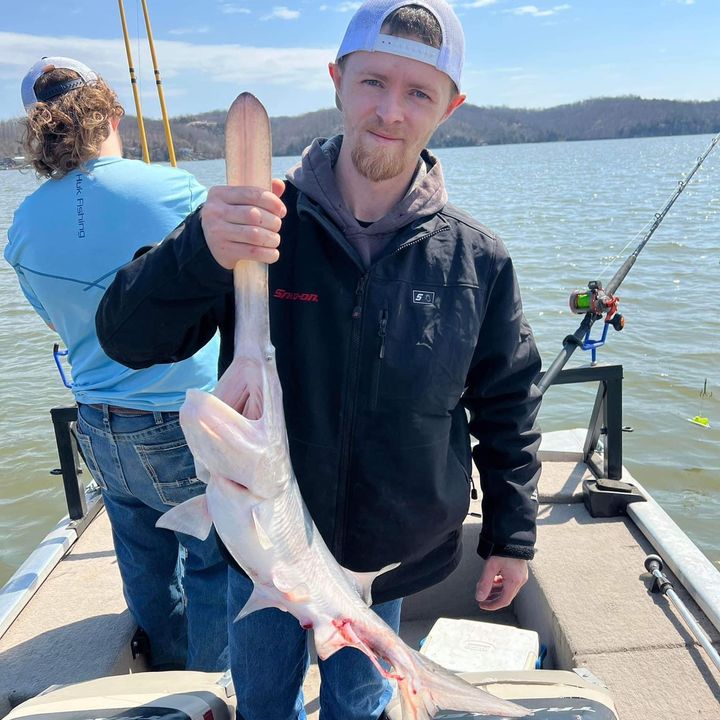 Profile Picture of Cody Scurlock (@codyscurlock8) on Tiktok