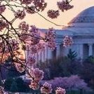 Profile Picture of Jessie Muse (@mismagnolia38) on Twitter