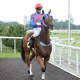 Profile Picture of Andy Ng Kok Minon Twitter