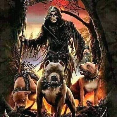 Hashem Adam 1996 - Twitter Profile Picture of Hashem Adam 1996 (@hashemAdam19961) on Twitter