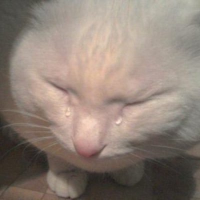 Profile Picture of Winnie_the_Flu™ (@JazmynNKoKo) on Twitter