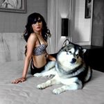 Profile Picture of Karlask Kingdom Kennel 🇲🇨 (@karlaskkingdomkennel) on Instagram