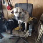 Profile Picture of Steve Sharpsteen (@Steve-Sharpsteen) on Facebook