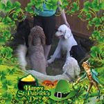 Profile Picture of Lori DaSilva (@ledasilva143) on Instagram