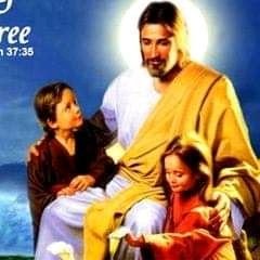 Profile Picture of Saint Trinity (@SaintTrinity2) on Twitter