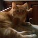 Profile Picture of Ralph Scapuzzo (@ralph.scapuzzo) on Facebook