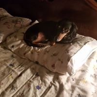 Profile Picture of Norma Thomas (@norma-thomas-7) on Quora