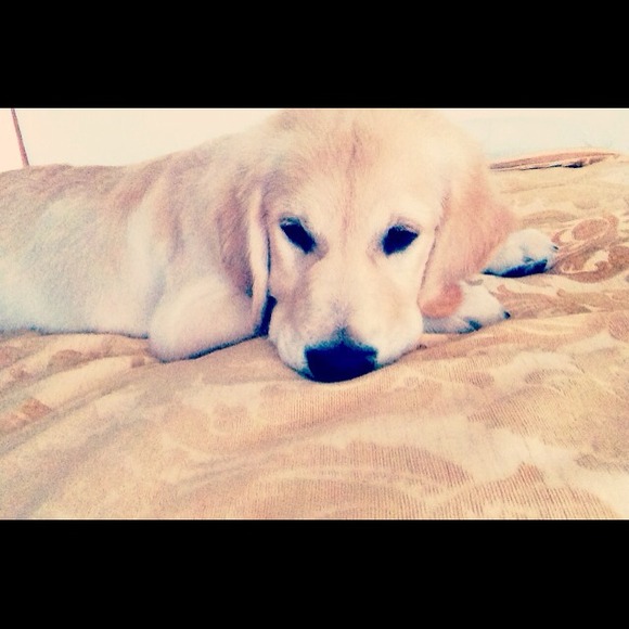 Kiersten Mann - Poshmark Profile Picture of Kiersten Mann (@kmannn) on Poshmark